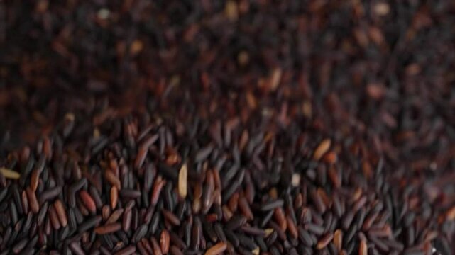 Macro video of black rice kept on rotating disk. Close up video of organic black rice.