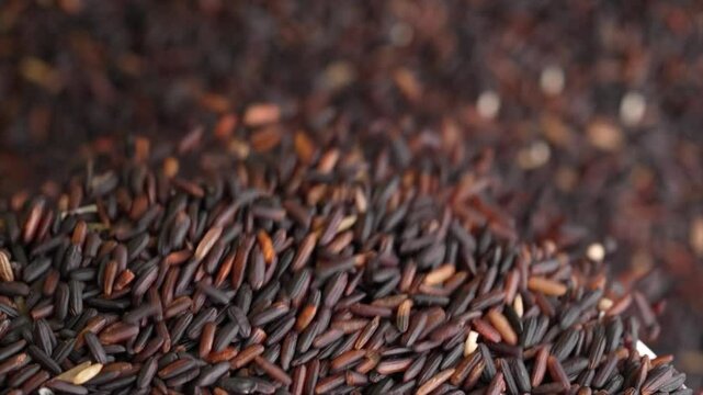 Macro video of black rice kept on rotating disk. Close up video of organic black rice.
