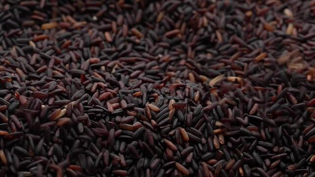 Macro video of black rice kept on rotating disk. Close up video of organic black rice.