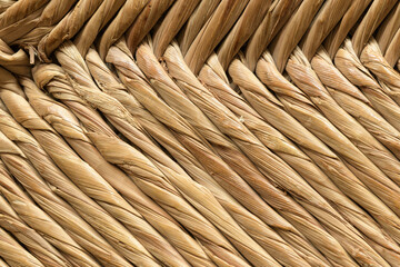 TRENZADO Y ABSTRACCIÓN CON FIBRAS DE TYPHA