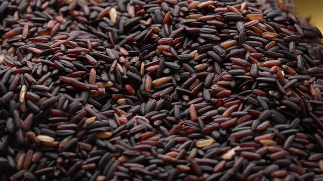 Macro video of black rice kept on rotating disk. Close up video of organic black rice.