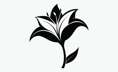 Lily Flower Silhouette Vector