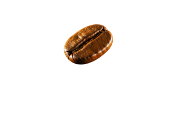 Isolated Single Roasted Coffee Bean