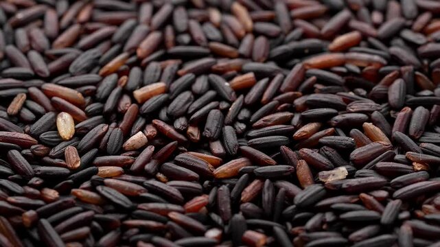 Macro video of black rice kept on rotating disk. Close up video of organic black rice.