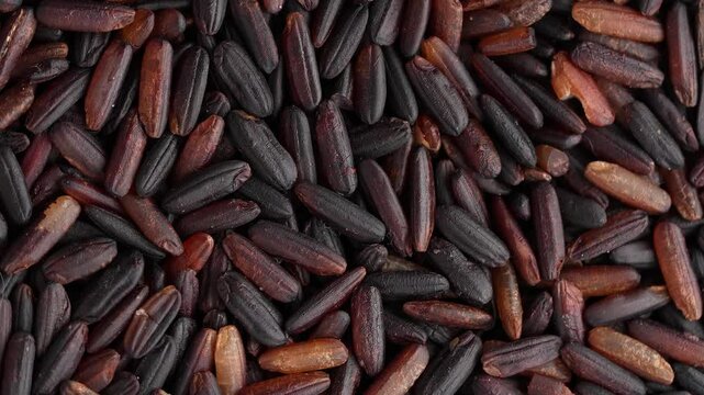 Macro video of black rice kept on rotating disk. Close up video of organic black rice.