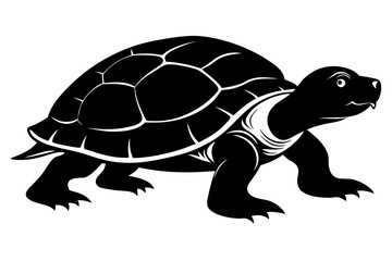 Turtle Silhouette Isolated Black and White Design Marine Life Simple Elegant Animal Reptile Ocean
