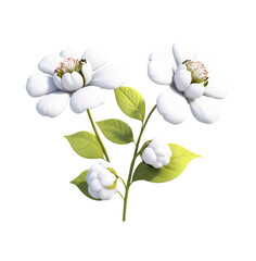 white flowers on white background