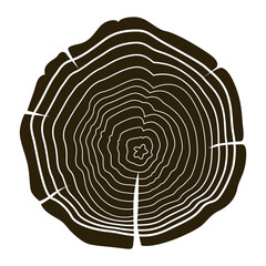 Wooden logs texture. Wood concepts graphics, lumber circle top view. Vintage outline tree ring stump, cut trees structure racy vector