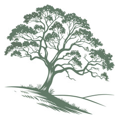 Fototapeta premium Elegant olive green tree silhouette on hillside vector graphic for botanical designs and nature projects