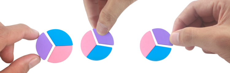 Analyzing data segments office environment educational content interactive viewpoint visual learning concept