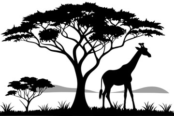 Giraffe Silhouette Under Acacia Tree in the African Savanna Landscape