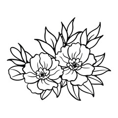 Delicate linework floral cluster  hand drawn vibe