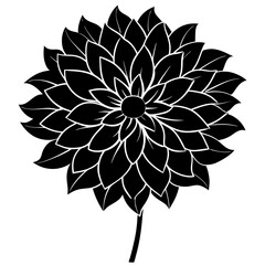 black and white flower
