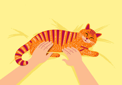 Illustration of a striped orange cat being petted by hands on a yellow background