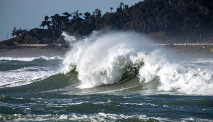 Fototapeta premium Surfing the waves