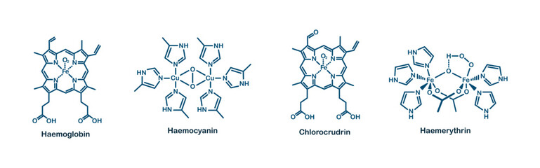 Chemical structure of blood. Haemoglobin, haemocyanin, chlorocrudin, and haemerythrin.