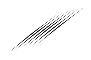 black and white lines