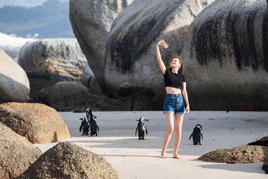 Tourist taking selfie with african penguins at Boulders Beach, Cape Town, South Africa