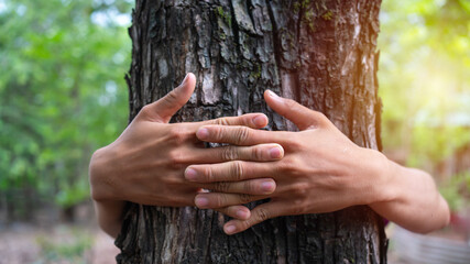 Hands hugging a tree trunk in a forest, symbolizing love for nature, environmental awareness, and...