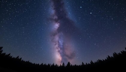 Fototapeta premium Observing Milky Way From Dark Forest, Night Sky Stars