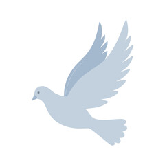 Obraz premium dove of peace