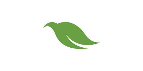 bird leaf logo Design, bird Vector illustration