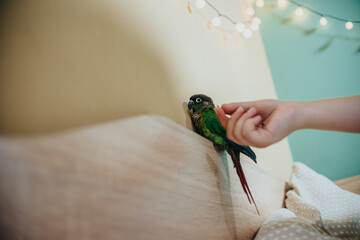 Fototapeta na wymiar A young girl interacts playfully with a small green parrot perched on a wooden surface in a cozy indoor setting, creating a warm and cheerful atmosphere.