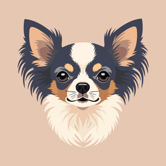 Chihuahua Portrait: Charming Look