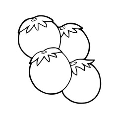 organic food design element - berries