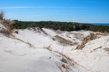 Sand dunes near Baltic sea with blue sky near Lubiatowo, Poland. Sunny day landscape