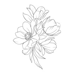 Elegant floral line art bouquet composition. Hand drawn minimalist flowers and leaves in delicate boho style for prints, wall decor, wedding invitations, greeting cards. Vector delicate illustration.