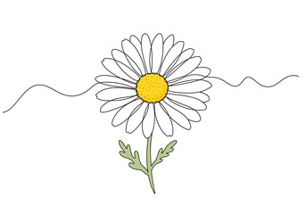 Elegant Daisy Illustration: Minimalist Floral Design