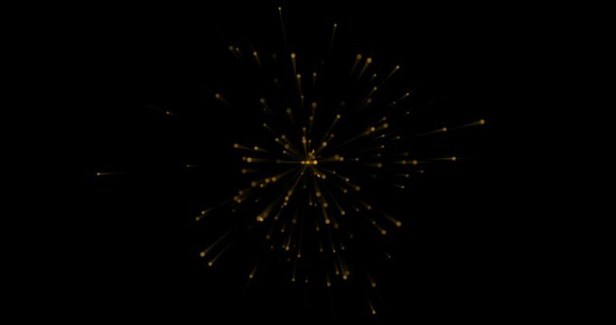 A single explosion of fireworks. Festive fireworks. Abstract animation.