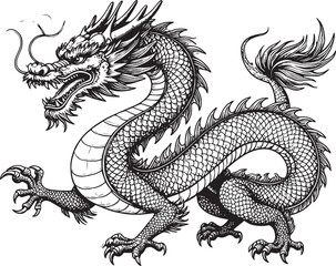 chines dragon drawing vector illustration