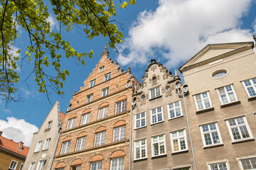 Fototapeta premium Old town in the Polish city of Gdansk with colorful facades of houses, Poland. Street architecture with old building and green branch. Travel photography.