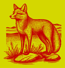 Detailed Engraving of a Standing Fox on Rocky Terrain in Nature