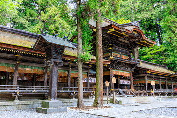 初夏の諏訪大社 下社 春宮　長野県諏訪郡　Suwa Taisha Shrine in early summer....