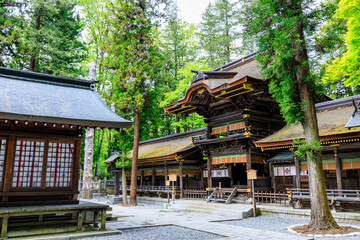 初夏の諏訪大社 下社 春宮　長野県諏訪郡　Suwa Taisha Shrine in early summer. Shimosha. Harumiya. Nagano Pref, Suwa District.	