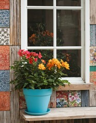 Fototapeta premium fictional works on flowers and windows