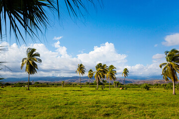 Horse trip to Puerto Suelo Maxico