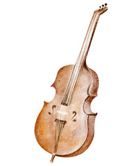 Hand-drawn watercolor of a double bass, isolated on white. Depicts strings, bow, and detailed instrument features. Suitable for music, jazz, classical, and instrumental design themes.