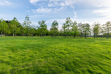 Green camping grassland in Spring Park