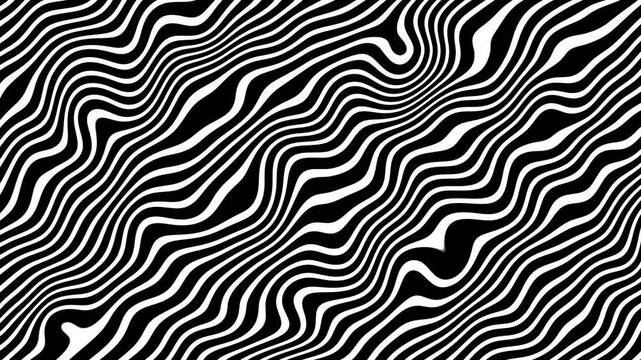 Abstract animated background with black white waves texture and flowing motion creating a optical illusion stripes or distorted lines effect, perfect for ads, motion graphic element, or presentation