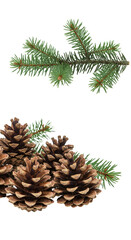 Fototapeta premium Isolated Evergreen Fir Tree Branches and Pine Cones for Christmas