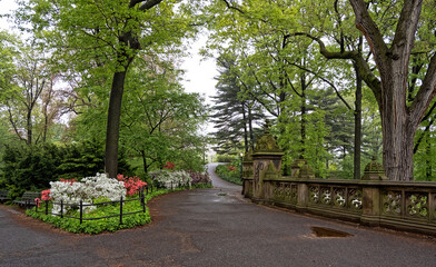 Central Park in spring