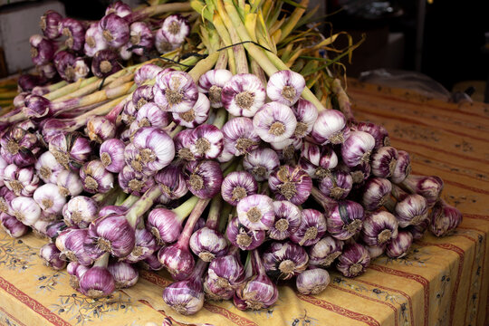 Whole Garlic at Saint Tropez Farmer's Market