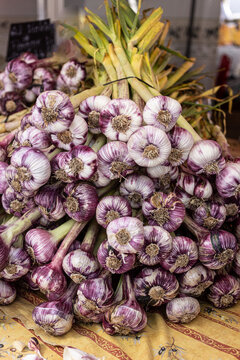 Garlic at Saint Tropez Farmer's Market
