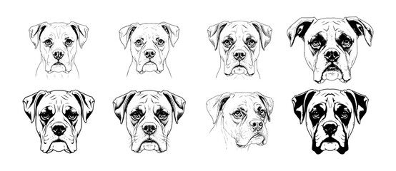 Vector Boxer dog faces outline set 