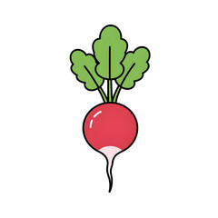 Radish Illustration: Vibrant Veggie Icon