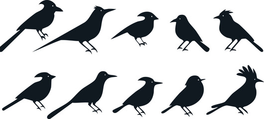Obraz premium Vector Collection of Black Bird Silhouettes in Asymmetrical Layout with Clean White Backdrop